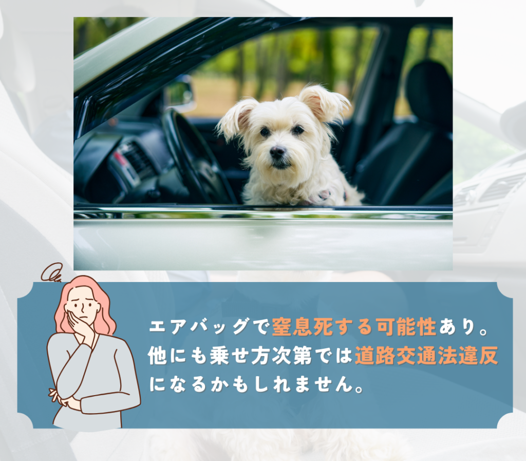 愛犬を助手席に乗せるのは避けましょう