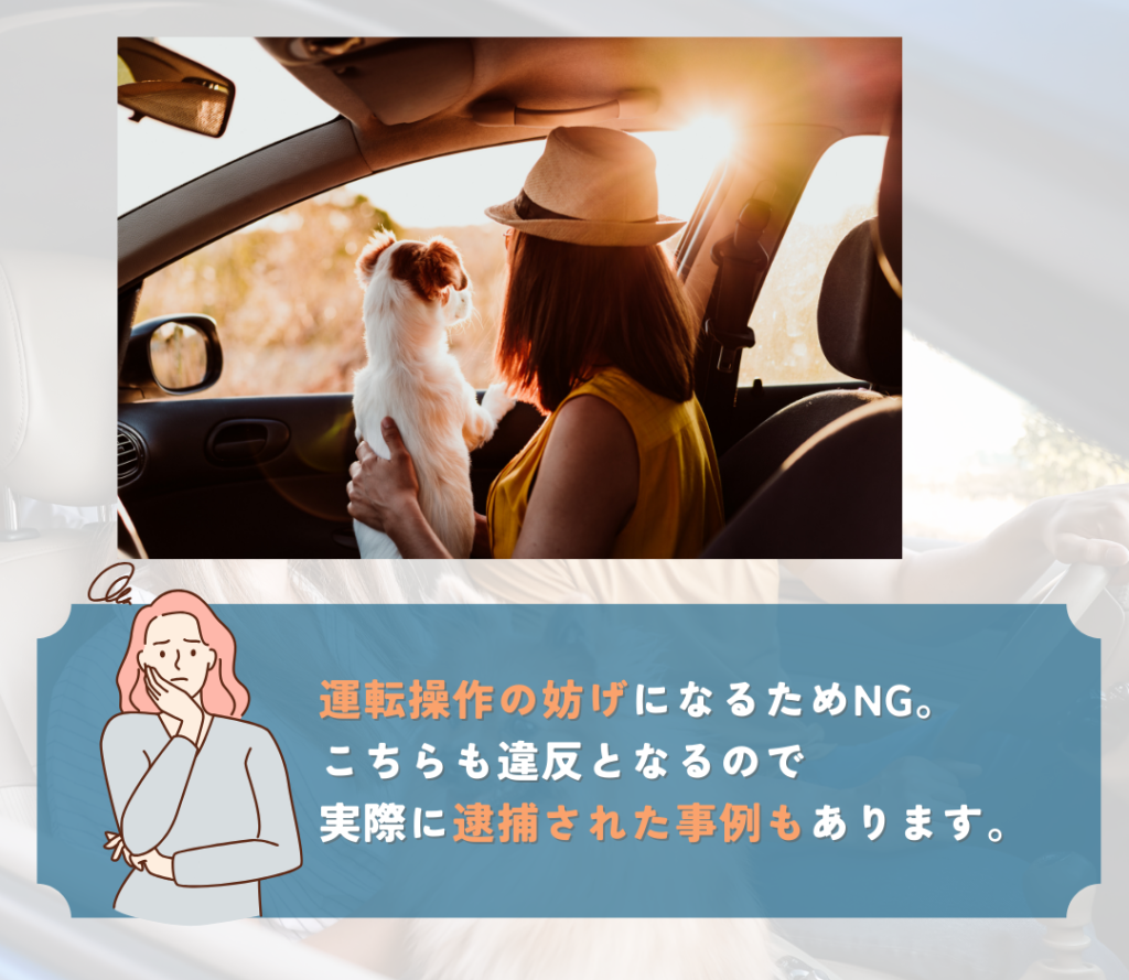 運転手の膝の上に乗せるのはやめましょう