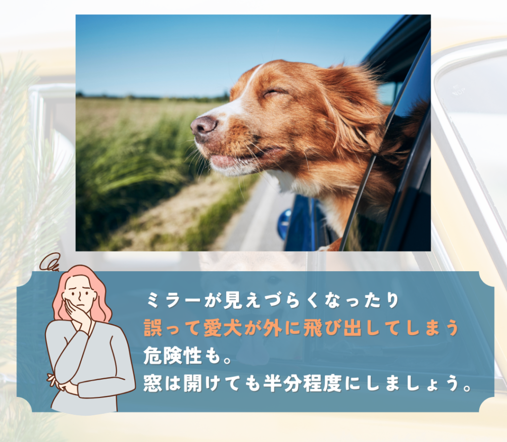 走行中に愛犬が窓から顔を出さないようにしましょう