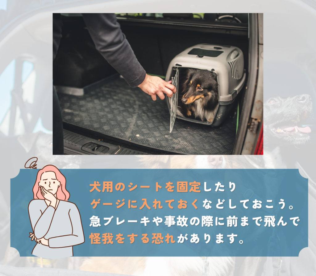 愛犬が車内で動き回らないようにしましょう