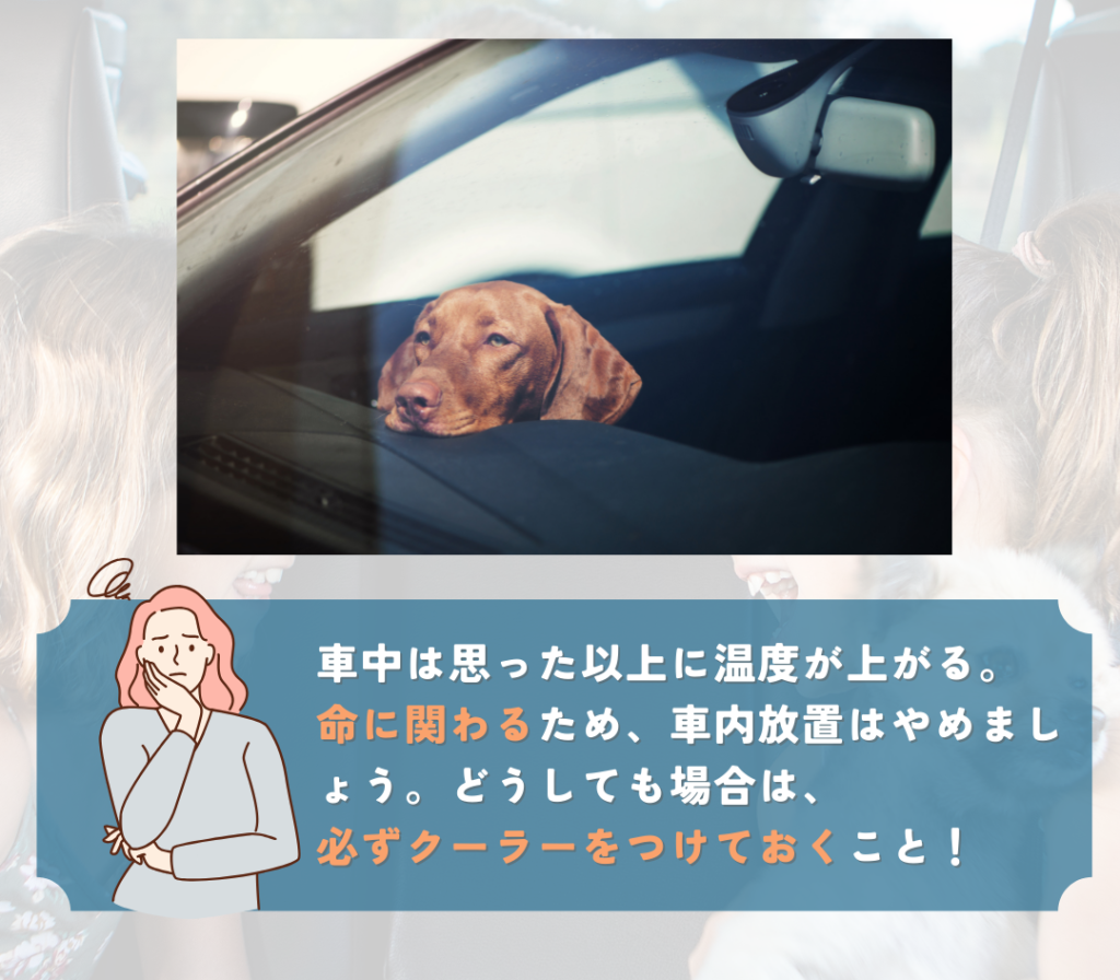 愛犬を長時間留守番させないようにしましょう