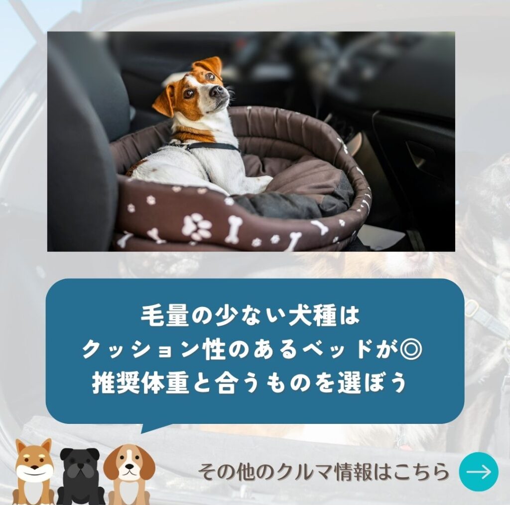 ドライブベッド